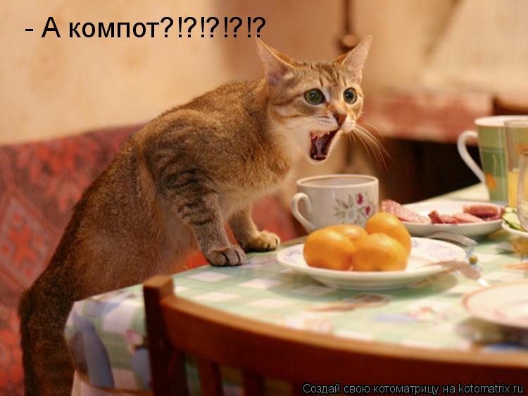 - А компот?!?!?!?!?... Котоматрица: - А компот?!?!?!?!?