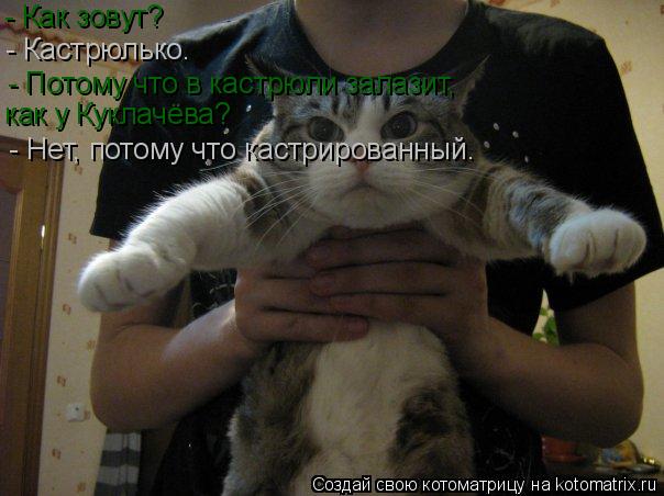 - Как зовут? - Потому что в кастрюли залазит, как у Куклачёва? - Нет, потому что кастрированный. - К... Котоматрица: - Как зовут? - Потому что в кастрюли залазит, как у Куклачёва? - Нет, потому что кастрированный. - Кастрюлько.