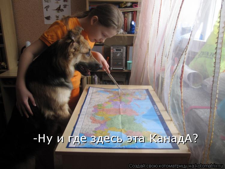 -Ну и где здесь эта КанадА?... Котоматрица: -Ну и где здесь эта КанадА?