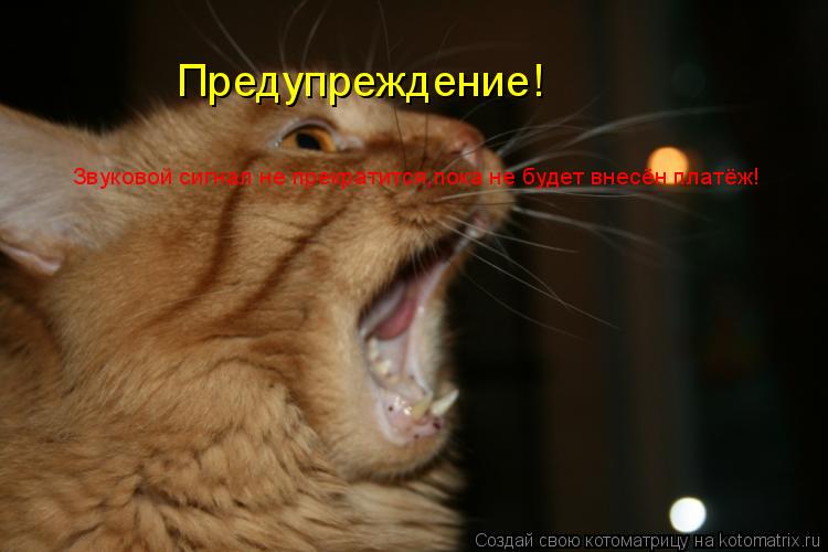 Предупреждение! Звуковой сигнал не прекратится,пока не будет внесён платёж!... Котоматрица: Предупреждение! Звуковой сигнал не прекратится,пока не будет внесён платёж!