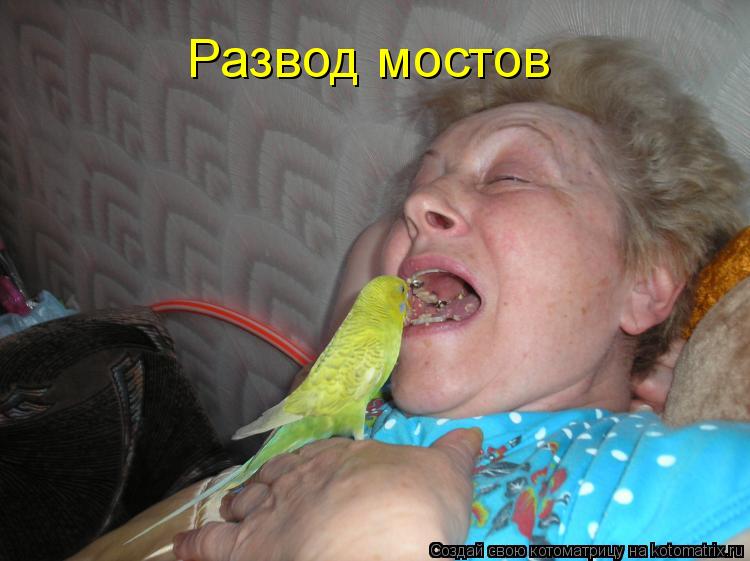 Развод мостов... Котоматрица: Развод мостов
