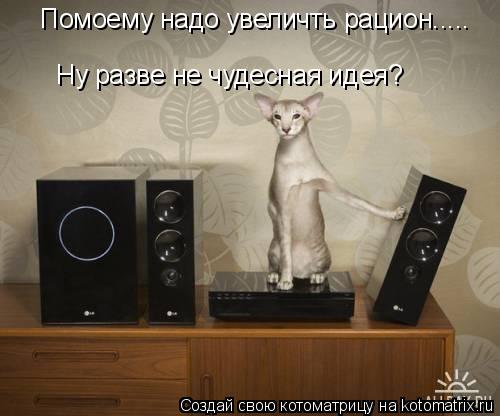 Помоему надо увеличть рацион..... Ну разве не чудесная идея?... Котоматрица: Помоему надо увеличть рацион..... Ну разве не чудесная идея?