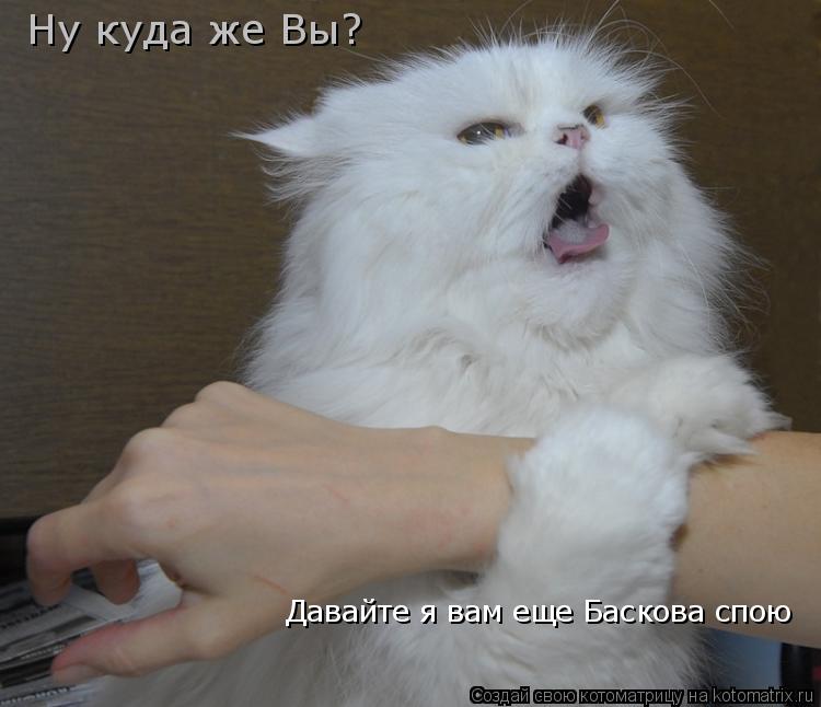 Ну куда же Вы? Давайте я вам еще Баскова спою... Котоматрица: Ну куда же Вы? Давайте я вам еще Баскова спою