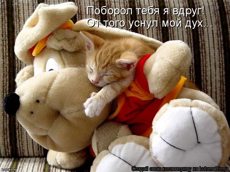 Поборол тебя я вдруг! От того уснул мой дух...... Котоматрица: Поборол тебя я вдруг! От того уснул мой дух...