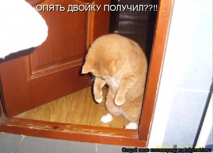 ОПЯТЬ ДВОЙКУ ПОЛУЧИЛ??!!... Котоматрица: ОПЯТЬ ДВОЙКУ ПОЛУЧИЛ??!!