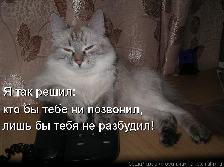 Я так решил: кто бы тебе ни позвонил, лишь бы тебя не разбудил!... Котоматрица: Я так решил: кто бы тебе ни позвонил, лишь бы тебя не разбудил!