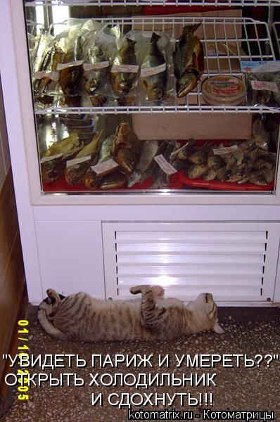 "УВИДЕТЬ ПАРИЖ И УМЕРЕТЬ??" ОТКРЫТЬ ХОЛОДИЛЬНИК И СДОХНУТЬ!!!... Котоматрица: "УВИДЕТЬ ПАРИЖ И УМЕРЕТЬ??" ОТКРЫТЬ ХОЛОДИЛЬНИК И СДОХНУТЬ!!!