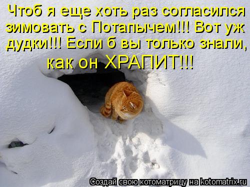 Чтоб я еще хоть раз согласился зимовать с Потапычем!!! Вот уж дудки!!! Если б вы только знали, как он... Котоматрица: Чтоб я еще хоть раз согласился зимовать с Потапычем!!! Вот уж дудки!!! Если б вы только знали, как он ХРАПИТ!!!