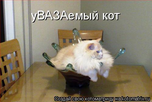 уВАЗАемый кот... Котоматрица: уВАЗАемый кот