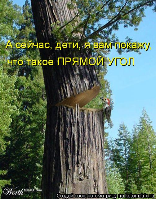 что такое ПРЯМОЙ УГОЛ А сейчас, дети, я вам покажу,... Котоматрица: что такое ПРЯМОЙ УГОЛ А сейчас, дети, я вам покажу,