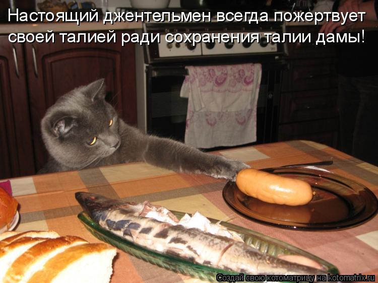 Настоящий джентельмен всегда пожертвует своей талией ради сохранения талии дамы!... Котоматрица: Настоящий джентельмен всегда пожертвует своей талией ради сохранения талии дамы!