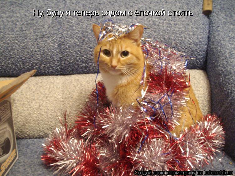 Ну, буду я теперь рядом с ёлочкой стоять... Котоматрица: Ну, буду я теперь рядом с ёлочкой стоять