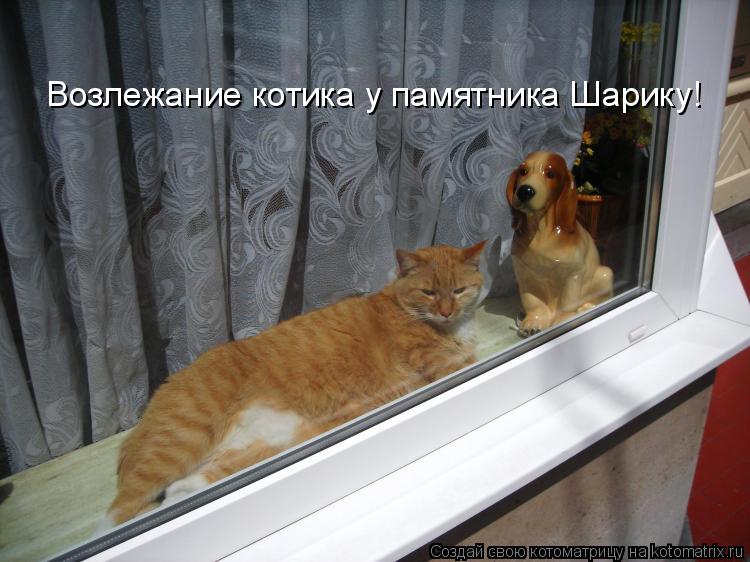 Возлежание котика у памятника Шарику!... Котоматрица: Возлежание котика у памятника Шарику!