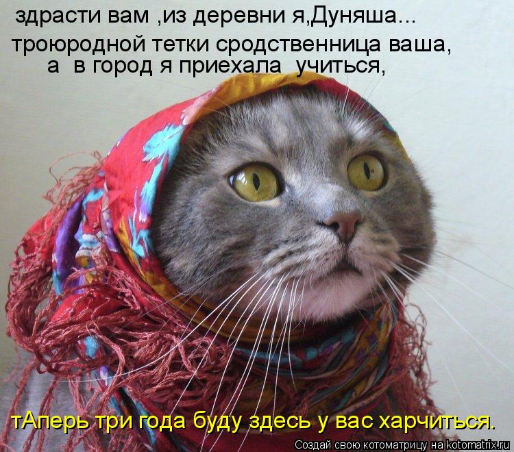 троюродной тетки сродственница ваша, здрасти вам ,из деревни я,Дуняша... а в город я приехала учить... Котоматрица: троюродной тетки сродственница ваша, здрасти вам ,из деревни я,Дуняша... а в город я приехала учиться, тАперь три года буду здесь у вас харчи