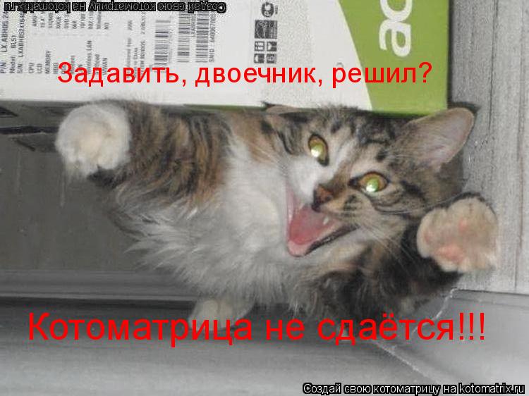 Задавить, двоечник, решил? Котоматрица не сдаётся!!!... Котоматрица: Задавить, двоечник, решил? Котоматрица не сдаётся!!!