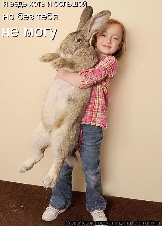 я ведь хоть и большой но без тебя не могу... Котоматрица: я ведь хоть и большой но без тебя не могу