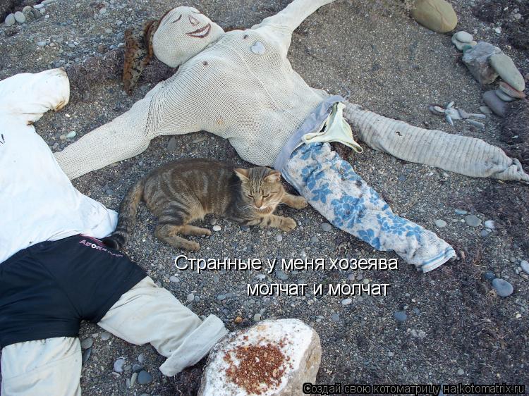 Странные у меня хозеява молчат и молчат... Котоматрица: Странные у меня хозеява молчат и молчат