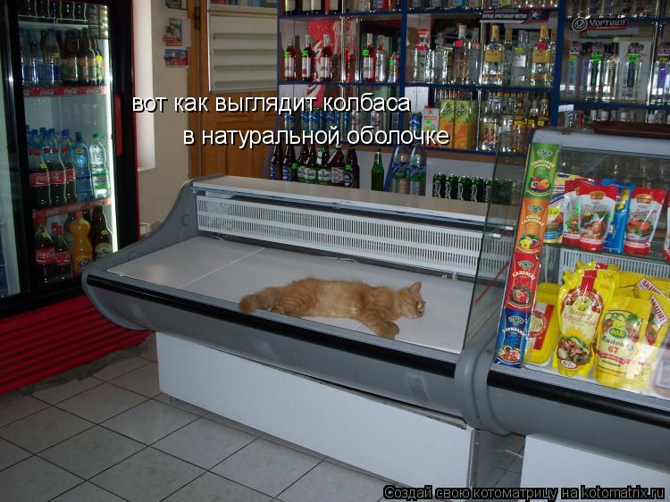 вот как выглядит колбаса в натуральной оболочке... Котоматрица: вот как выглядит колбаса в натуральной оболочке