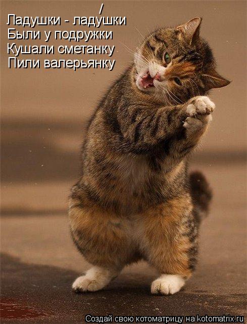 Ладушки - ладушки Были у подружки Кушали сметанку Пили валерьянку /... Котоматрица: Ладушки - ладушки Были у подружки Кушали сметанку Пили валерьянку /