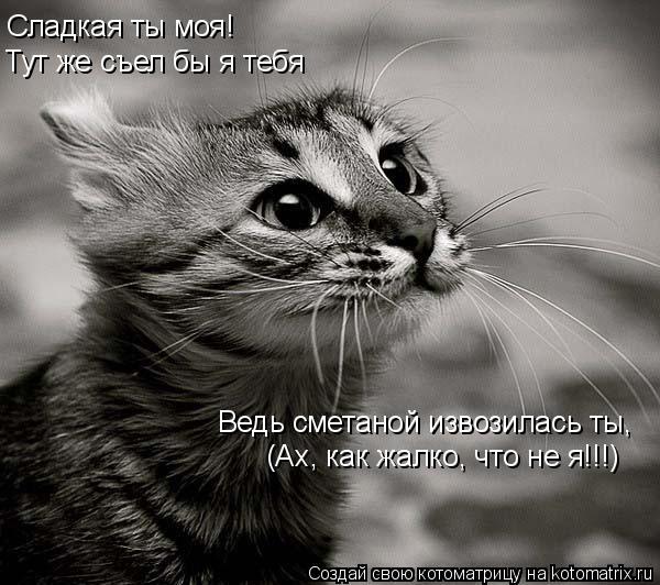 Сладкая ты моя! Тут же съел бы я тебя Ведь сметаной извозилась ты, (Ах, как жалко, что не я!!!)... Котоматрица: Сладкая ты моя! Тут же съел бы я тебя Ведь сметаной извозилась ты, (Ах, как жалко, что не я!!!)