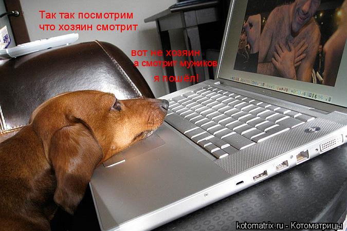 Так так посмотрим что хозяин смотрит вот не хозяин а смотрит мужиков я пошёл!... Котоматрица: Так так посмотрим что хозяин смотрит вот не хозяин а смотрит мужиков я пошёл!