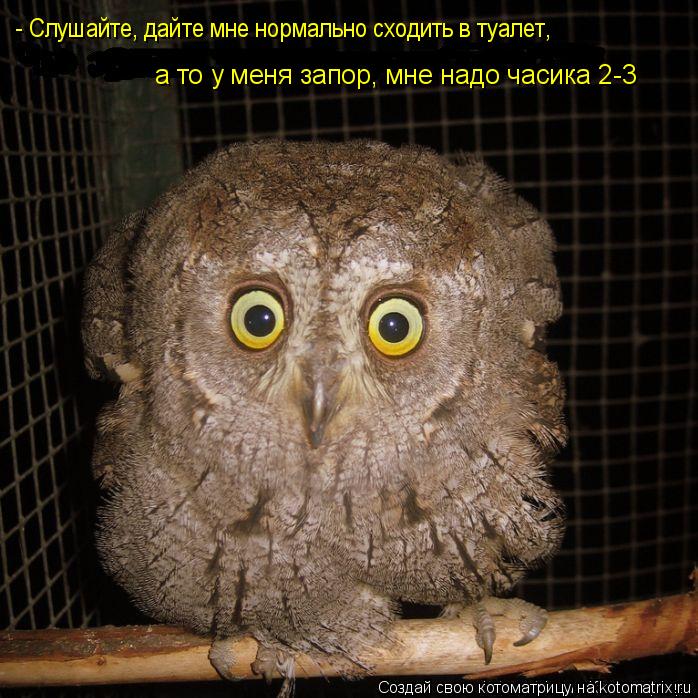 - Слушайте, дайте мне нормально сходить в туалет, а то у меня запор, мне надо часика 2-3... Котоматрица: - Слушайте, дайте мне нормально сходить в туалет, а то у меня запор, мне надо часика 2-3