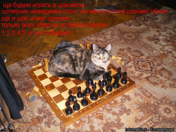 ща будем играть в шахматы ща я шах и мат сделаю только всех уберу и оставлю короля 1,2,3,4,5 я его п... Котоматрица: ща будем играть в шахматы ща я шах и мат сделаю только всех уберу и оставлю короля 1,2,3,4,5 я его победил! соперник неведимка стоит на месте и к