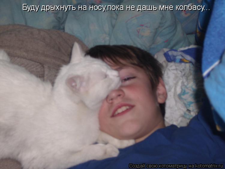 Буду дрыхнуть на носу,пока не дашь мне колбасу...... Котоматрица: Буду дрыхнуть на носу,пока не дашь мне колбасу...