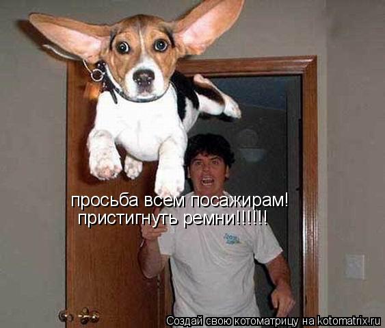 просьба всем посажирам! пристигнуть ремни!!!!!!... Котоматрица: просьба всем посажирам! пристигнуть ремни!!!!!!