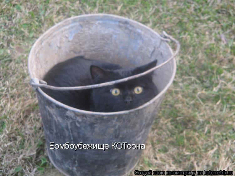 Бомбоубежище КОТсона... Котоматрица: Бомбоубежище КОТсона