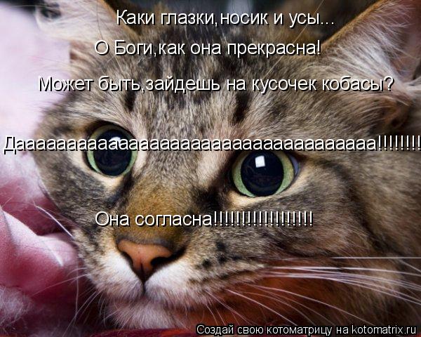 Каки глазки,носик и усы... Может быть,зайдешь на кусочек кобасы? О Боги,как она прекрасна! Дааааааааа... Котоматрица: Каки глазки,носик и усы... Может быть,зайдешь на кусочек кобасы? О Боги,как она прекрасна! Дааааааааааааааааааааааааааааааааааа!!!!!!!!!!!!!!!! Он