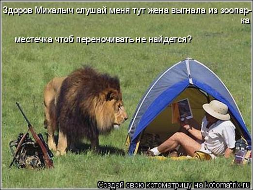 Здоров Михалыч слушай меня тут жена выгнала из зоопар- ка местечка чтоб переночивать не найдется?... Котоматрица: Здоров Михалыч слушай меня тут жена выгнала из зоопар- ка местечка чтоб переночивать не найдется?