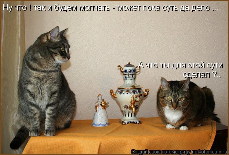 Ну что ! так и будем молчать - может пока суть да дело ... А что ты для этой сути сделал ?..... Котоматрица: Ну что ! так и будем молчать - может пока суть да дело ... А что ты для этой сути сделал ?..