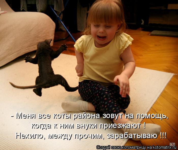 - Меня все коты района зовут на помощь, когда к ним внуки приезжают ! Нехило, между прочим, зарабатыв... Котоматрица: - Меня все коты района зовут на помощь, когда к ним внуки приезжают ! Нехило, между прочим, зарабатываю !!!