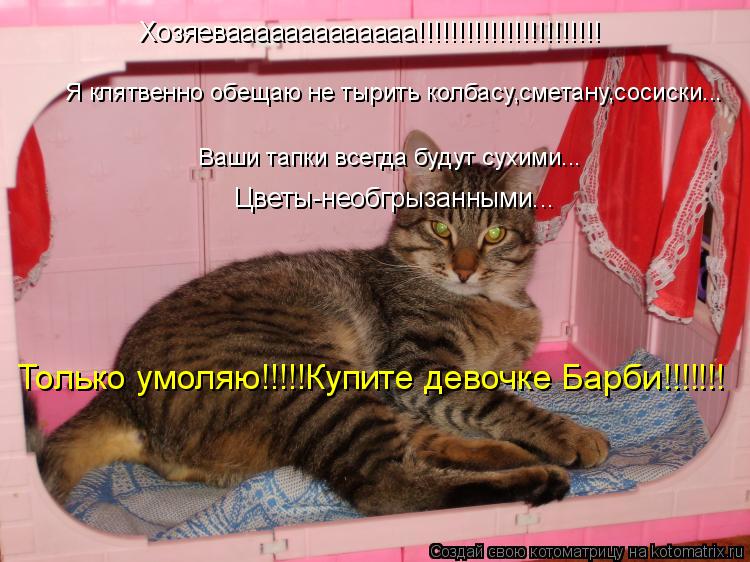 Котоматрица: Хозяевааааааааааааа!!!!!!!!!!!!!!!!!!!!!!! Я клятвенно обещаю не тырить колбасу,сметану,сосиски... Ваши тапки всегда будут сухими... Цветы-необгрызан