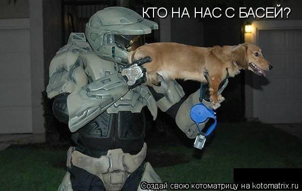 КТО НА НАС С БАСЕЙ?... Котоматрица: КТО НА НАС С БАСЕЙ?