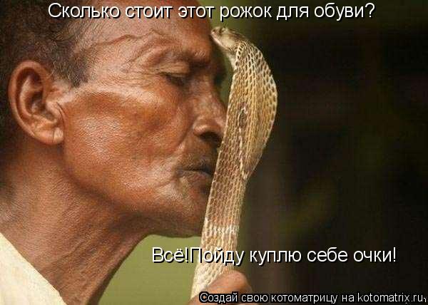 Сколько стоит этот рожок для обуви? Всё!Пойду куплю себе очки!... Котоматрица: Сколько стоит этот рожок для обуви? Всё!Пойду куплю себе очки!