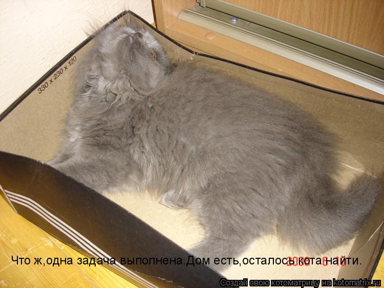 Что ж,одна задача выполнена.Дом есть,осталось кота найти. Что ж,одна задача выполнена.Дом есть,остало... Котоматрица: Что ж,одна задача выполнена.Дом есть,осталось кота найти. Что ж,одна задача выполнена.Дом есть,осталось кота найти.
