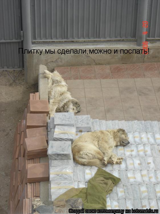 Плитку мы сделали,можно и поспать!... Котоматрица: Плитку мы сделали,можно и поспать!
