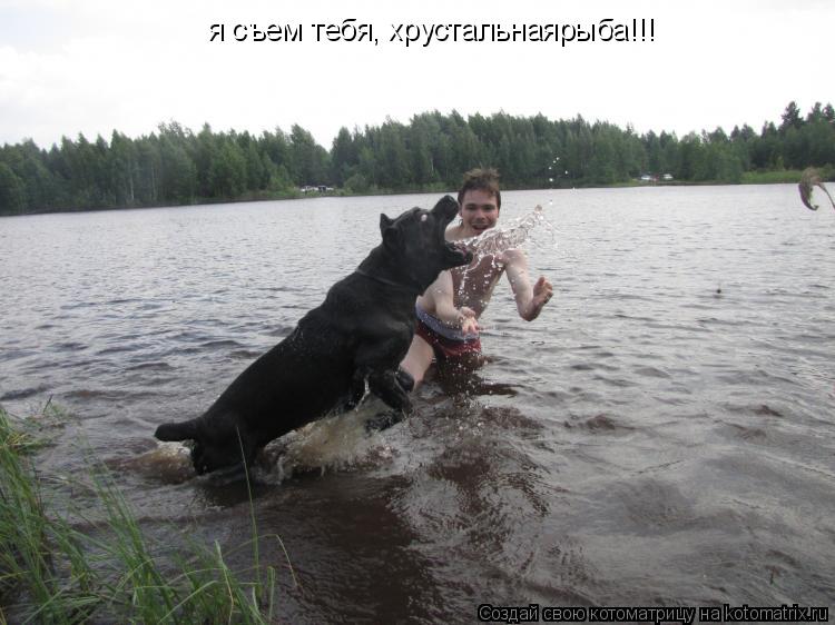 я съем тебя, хрустальнаярыба!!!... Котоматрица: я съем тебя, хрустальнаярыба!!!