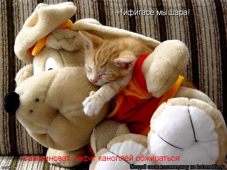 -Нифигасе мышара! -Сам виноват, нефиг каноплёй обжираться... Котоматрица: -Нифигасе мышара! -Сам виноват, нефиг каноплёй обжираться