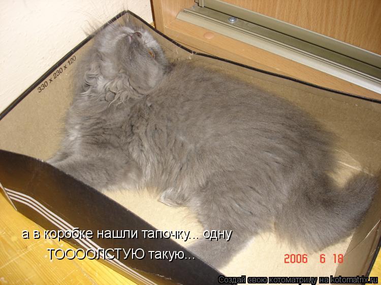 а в коробке нашли тапочку... одну ТООООЛСТУЮ такую...... Котоматрица: а в коробке нашли тапочку... одну ТООООЛСТУЮ такую...