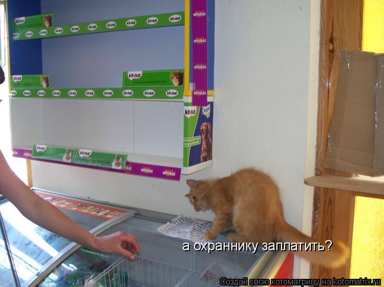 а охраннику заплатить?... Котоматрица: а охраннику заплатить?