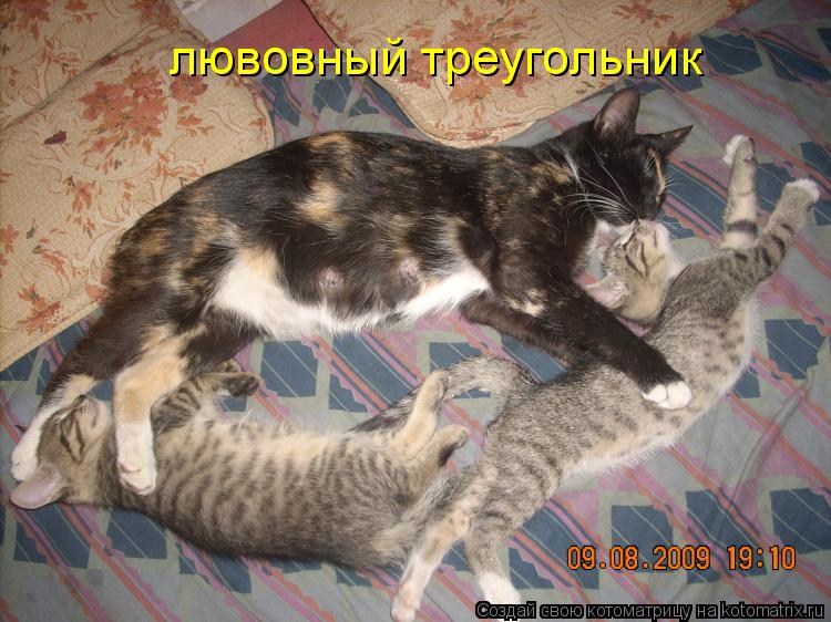 лювовный треугольник... Котоматрица: лювовный треугольник