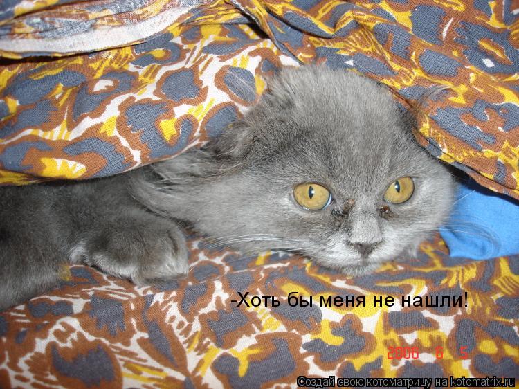 -Хоть бы меня не нашли!... Котоматрица: -Хоть бы меня не нашли!
