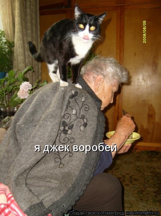 я джек воробей... Котоматрица: я джек воробей