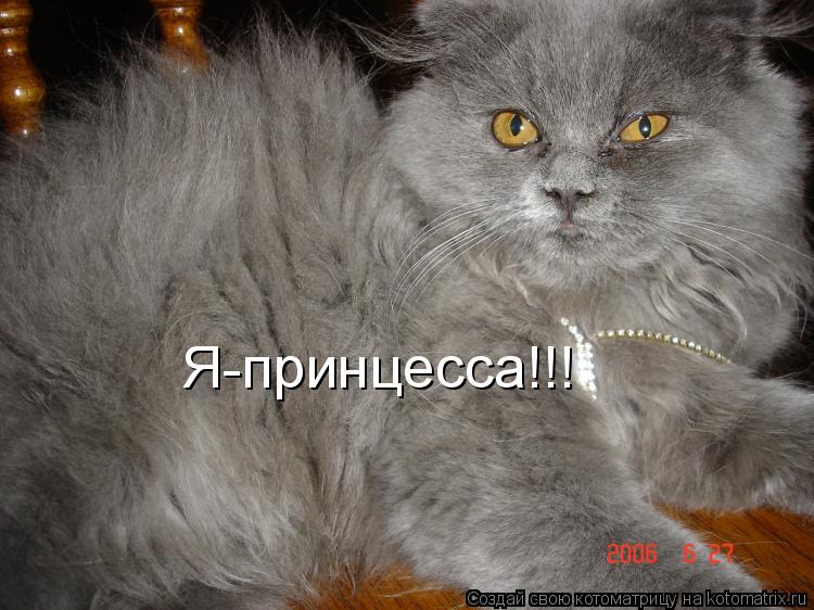 Я-принцесса!!!... Котоматрица: Я-принцесса!!!
