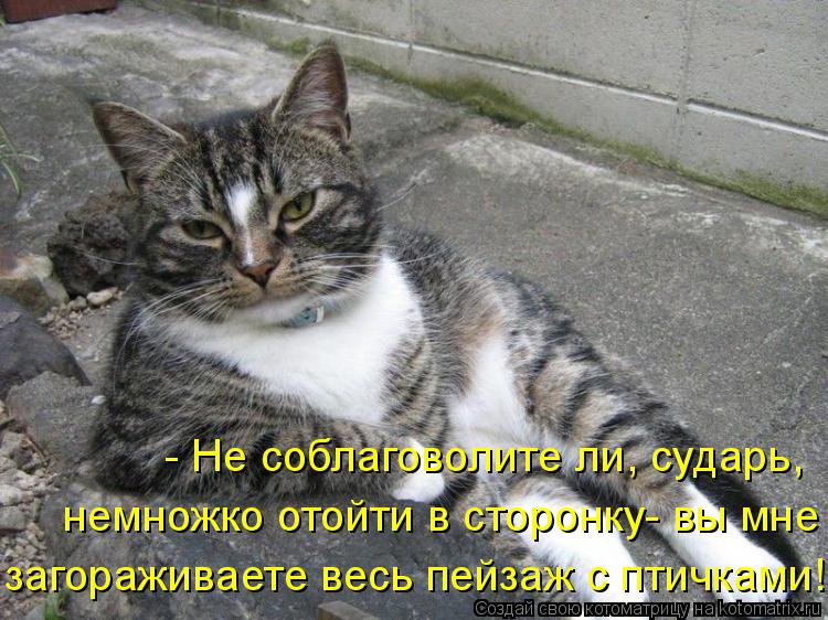 - Не соблаговолите ли, сударь, загораживаете весь пейзаж с птичками! немножко отойти в сторонку- вы м... Котоматрица: - Не соблаговолите ли, сударь, загораживаете весь пейзаж с птичками! немножко отойти в сторонку- вы мне