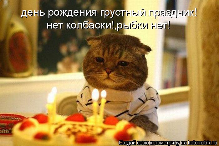 день рождения грустный праздник! нет колбаски!,рыбки нет!... Котоматрица: день рождения грустный праздник! нет колбаски!,рыбки нет!