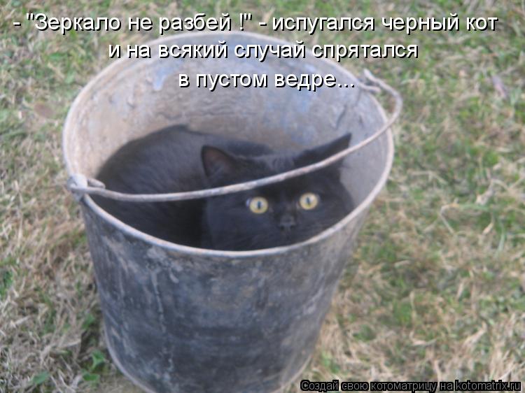 - "Зеркало не разбей !" - испугался черный кот и на всякий случай спрятался в пустом ведре...... Котоматрица: - "Зеркало не разбей !" - испугался черный кот и на всякий случай спрятался в пустом ведре...